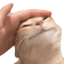 pat_cat emoji