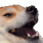 Eheh_Doggo emoji