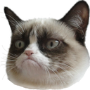 grumpycat emoji