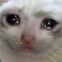 crycat emoji