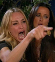 woman_yelling_at_cat_meme emoji