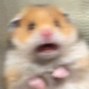 scaredhamster emoji