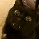 xCatGoth emoji