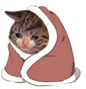 catBlanket emoji