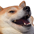 dogelaugh emoji