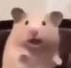 HamsterScared emoji