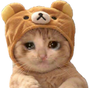 nyancatto emoji