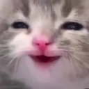happycatto emoji