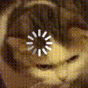 aq_Loading_Cat emoji