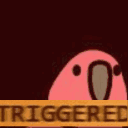 triggeredinbird emoji