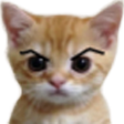 ar_Cat_Grumpy emoji