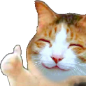 HappyCatThumbsUp emoji