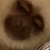 monkey_pog emoji