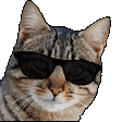 EVs_02Dopeuwu emoji