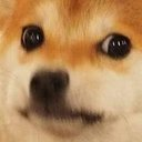 dogecringethefuckareyoudoing emoji