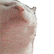 GIFVibingCat emoji