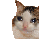 3_CatSadLikeGIF emoji