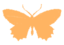 TES_butterfly_orange emoji