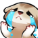 FerretHandsCry emoji