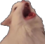 catscream emoji