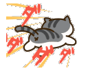 nekoatsume_run emoji