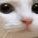 no_anime5 emoji