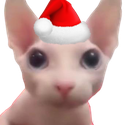 christmas_cat emoji