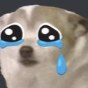 dog_cry emoji