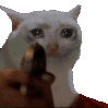 ow_catshoot emoji