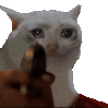 GIFSadCatGun emoji