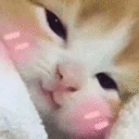 cutecatblush emoji