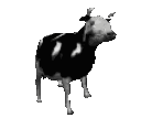 Dancing_cow_animated emoji