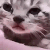 STC_CryingCat emoji