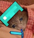 sadsleepminecraftcat emoji