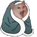 CatSleepy emoji