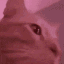 cat_headbop emoji