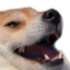 FunnyHaha emoji