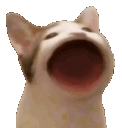 Cat_popcat_retrasados emoji