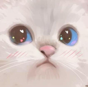 x_CatStare emoji