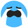 tiktokcry emoji