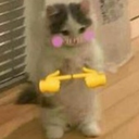 standingcatshy emoji