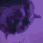 party_cat emoji