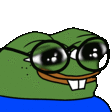 Ot_PepeNerd emoji