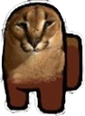 floppasussy emoji