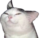 smug_cat emoji