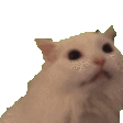 Screm emoji