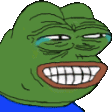 PepeNotFunny emoji