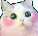 CatOmg emoji