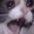 cat_ree emoji