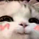 kitty_smirk emoji
